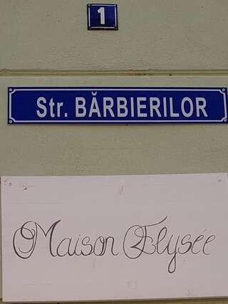 Гостевой дом Maison Elysée Сибиу Улучшенный двухместный номер с 1 кроватью-2