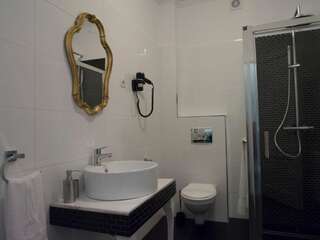 Гостевой дом Maison Elysée Сибиу Улучшенный двухместный номер с 1 кроватью-48