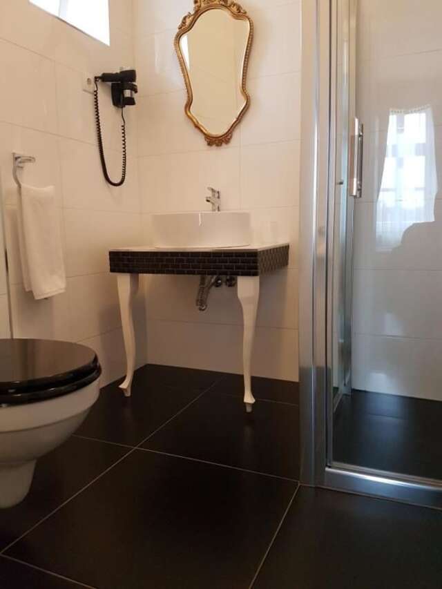 Гостевой дом Maison Elysée Сибиу-56