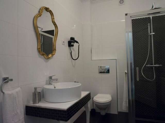 Гостевой дом Maison Elysée Сибиу-73